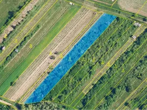 Prodej sadu/vinice, Nikolčice, 2568 m2