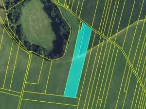 Prodej podílu pole, Ostrov u Macochy, 2406 m2