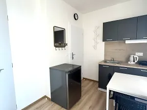 Pronájem bytu 1+kk, Kladno, Hřebečská, 16 m2