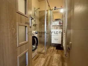 Prodej rodinného domu, Ševětín, Na braňkách, 245 m2