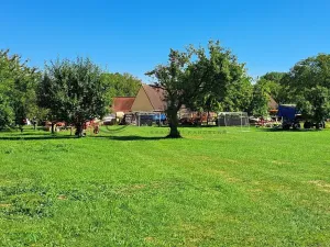 Prodej pozemku pro bydlení, Dolní Bukovsko, 1160 m2