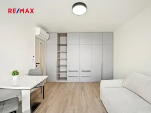 Pronájem bytu 1+kk, Praha - Žižkov, Malešická, 36 m2