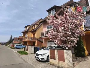 Prodej rodinného domu, Mohelnice, 290 m2