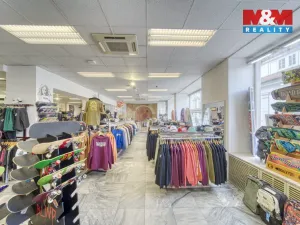 Pronájem restaurace, Plzeň - Vnitřní Město, Zbrojnická, 598 m2