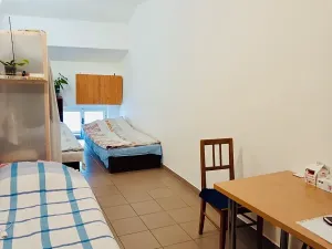 Pronájem bytu 1+kk, Třebíč, Hasskova, 23 m2