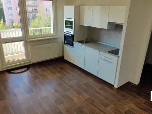 Pronájem bytu 1+kk, Olomouc, Schweitzerova, 25 m2