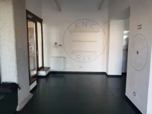 Pronájem obchodního prostoru, České Budějovice - České Budějovice 3, Pražská tř., 60 m2