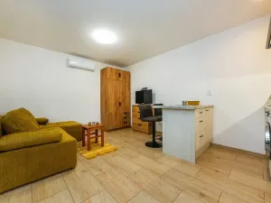 Pronájem bytu 1+kk, Měchenice, Vltavská, 33 m2