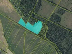 Prodej louky, Borkovice, 24246 m2