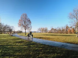 Prodej bytu 2+kk, Praha - Žižkov, Jana Želivského, 47 m2