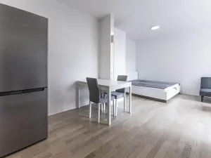 Pronájem bytu 1+kk, Praha - Nusle, Pod Děkankou, 38 m2