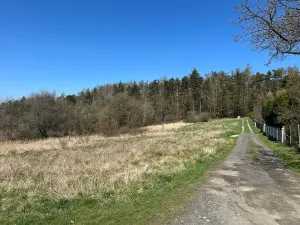 Prodej pozemku pro bydlení, Jílové u Prahy, K Lesu, 832 m2