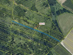 Dražba lesa, Nová Hradečná, 6275 m2