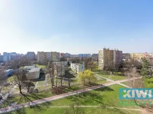 Pronájem bytu 2+1, Ostrava, Františka Hajdy, 50 m2