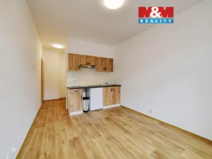 Pronájem bytu 1+kk, Mariánské Lázně, Hlavní třída, 20 m2