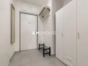 Pronájem bytu 1+kk, Praha - Žižkov, Malešická, 38 m2