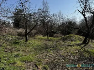 Prodej zahrady, Přerov, 1527 m2