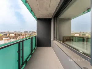 Pronájem bytu 1+kk, Praha - Žižkov, Olgy Havlové, 32 m2