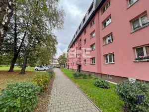 Pronájem bytu 1+1, Karviná - Mizerov, Kpt. Jaroše, 30 m2