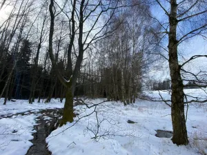 Prodej pozemku, Volfířov - Brandlín, 5958 m2