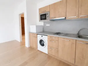 Pronájem bytu 1+kk, Praha - Vršovice, Archangelská, 45 m2