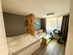 Pronájem bytu 1+1, Prostějov, 39 m2