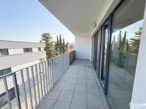 Pronájem bytu 2+kk, Olomouc, Wellnerova, 58 m2