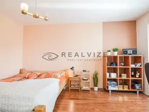 Prodej bytu 1+1, České Budějovice, Větrná, 38 m2