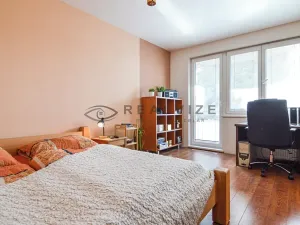 Prodej bytu 1+1, České Budějovice, Větrná, 38 m2