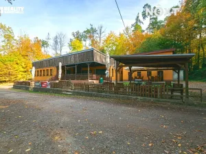 Prodej ubytování, Račice-Pístovice, 304 m2