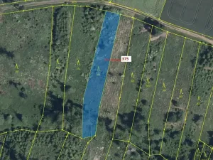 Dražba lesa, Chotěbudice, 1497 m2