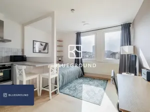 Pronájem bytu 1+kk, Praha - Vinohrady, Perucká, 27 m2