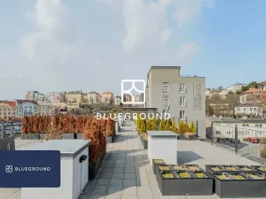 Pronájem bytu 1+kk, Praha - Vinohrady, Perucká, 27 m2