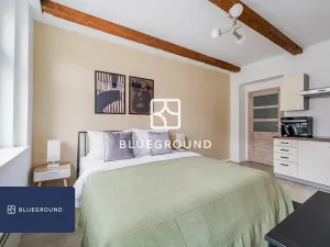 Pronájem bytu 1+kk, Praha - Žižkov, Cimburkova, 28 m2