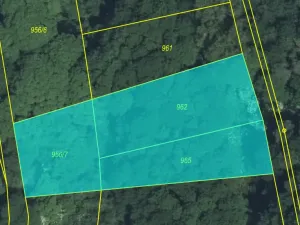 Prodej lesa, Snědovice - Střížovice, 2037 m2