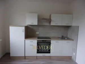 Pronájem bytu 2+kk, Ústí nad Labem, Peškova, 38 m2