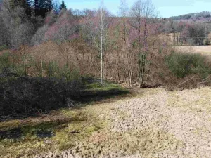 Prodej pozemku, Vernéřovice, 18464 m2