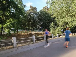 Prodej bytu 2+kk, Praha - Vinohrady, Bělehradská, 60 m2