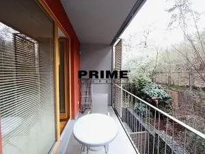 Pronájem bytu 2+kk, Praha - Žižkov, Jeseniova, 54 m2