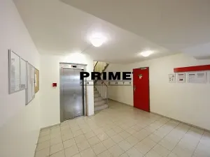 Pronájem bytu 2+kk, Praha - Žižkov, Jeseniova, 54 m2