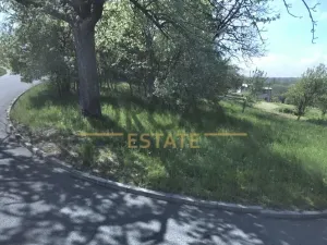 Prodej podílu louky, Svárov, 2797 m2