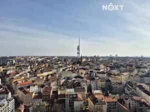 Pronájem bytu 1+kk, Praha - Žižkov, Žerotínova, 27 m2