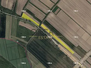 Prodej pole, Moravský Písek, 11506 m2