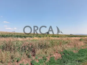 Prodej pole, Moravský Písek, 11506 m2