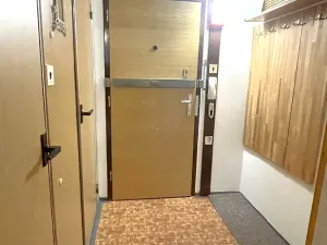 Pronájem bytu 1+kk, Praha - Chodov, Nad Opatovem, 30 m2