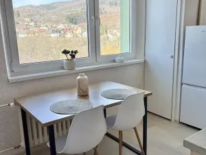 Pronájem bytu 1+1, Brumov-Bylnice, Am. Kutinové, 38 m2