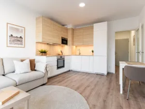 Pronájem bytu 2+kk, Brno - Zábrdovice, Spolková, 38 m2