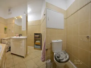 Prodej bytu 2+1, Chlumec, Stradovská, 64 m2