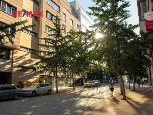 Pronájem bytu 3+kk, Praha - Smíchov, Karla Engliše, 115 m2