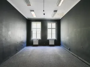 Prodej činžovního domu, Praha - Žižkov, Vlkova, 457 m2